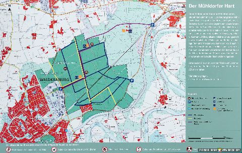 Gemeinde Mühldorfer_Hart Landkreis Mühldorf Massengrab (Dirschl Johann) Deutschland MÜ